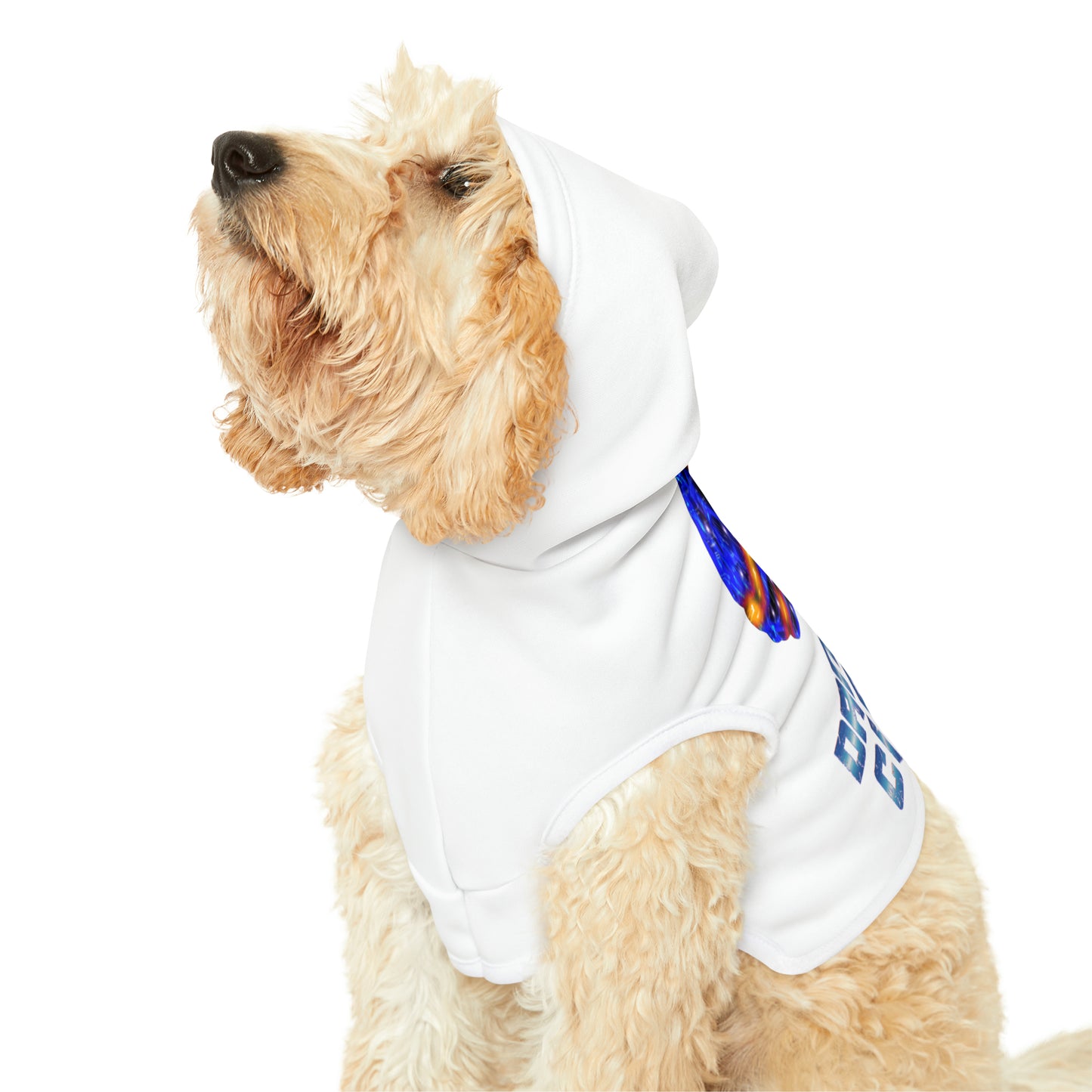 Pet Hoodie